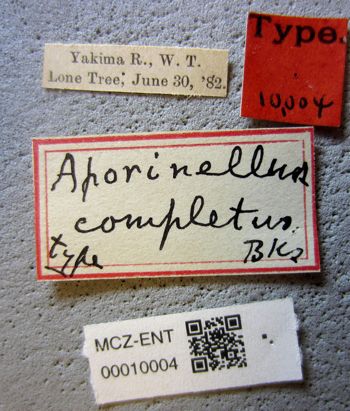 Media type: image;   Entomology 10004 Aspect: labels